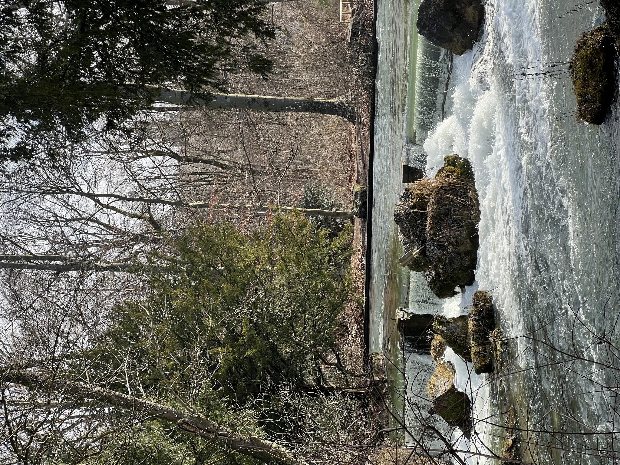 Englischer Garten